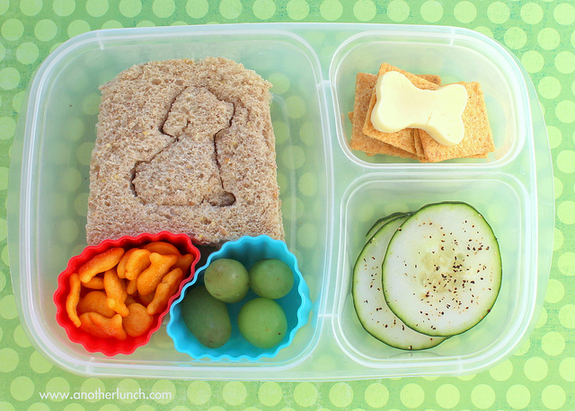 What Is The Importance Of A Healthy Lunch Box?